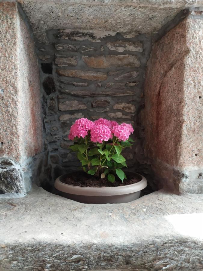 Al San Michele Otel Stresa Dış mekan fotoğraf